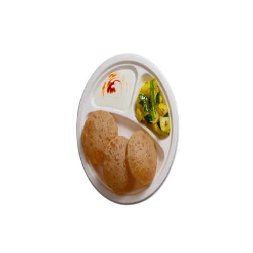 3-compartments-9-inch-bagasse-plate__1_-removebg-preview BG
