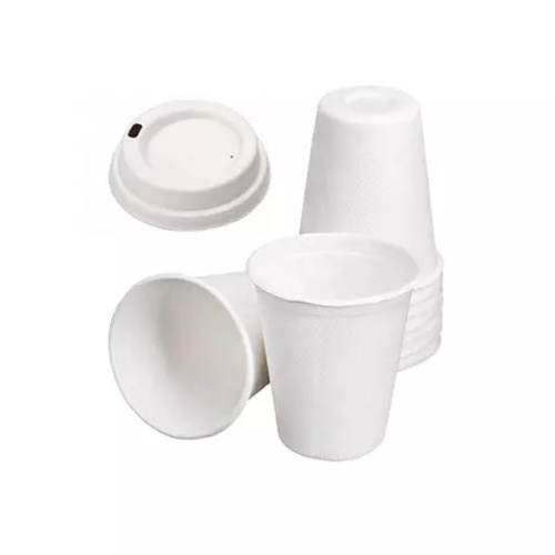 12oz-Biodegradable-disposable-sugarcane-bagasse-cup-With-Lids-460-460
