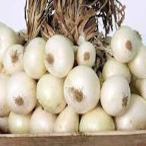Whiteimages2
