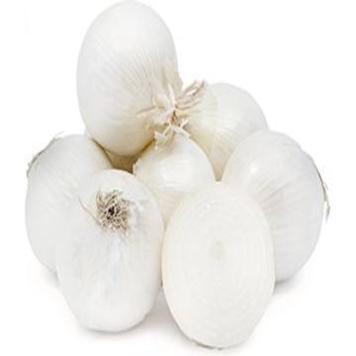 onion_white_31