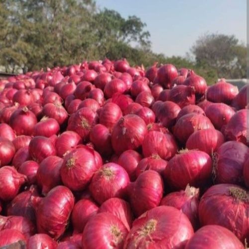 red-onion-1726655009-7607225
